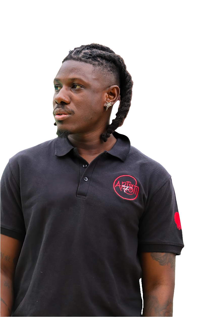 Artsti polo t-shirt